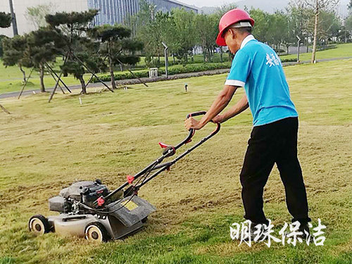 綠化養護1 綠化養護1